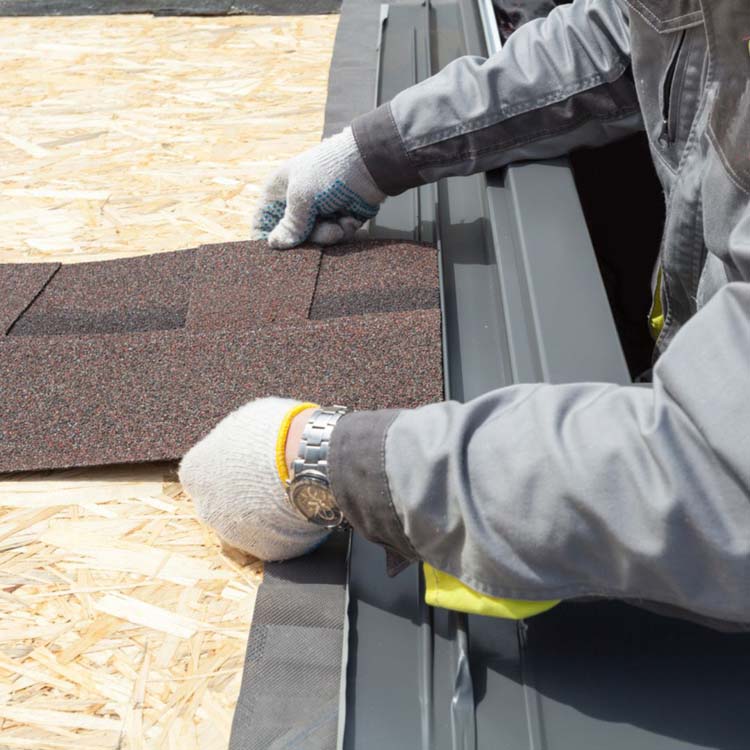 Professional Roof Installation